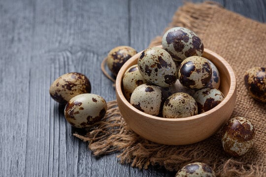 Egg